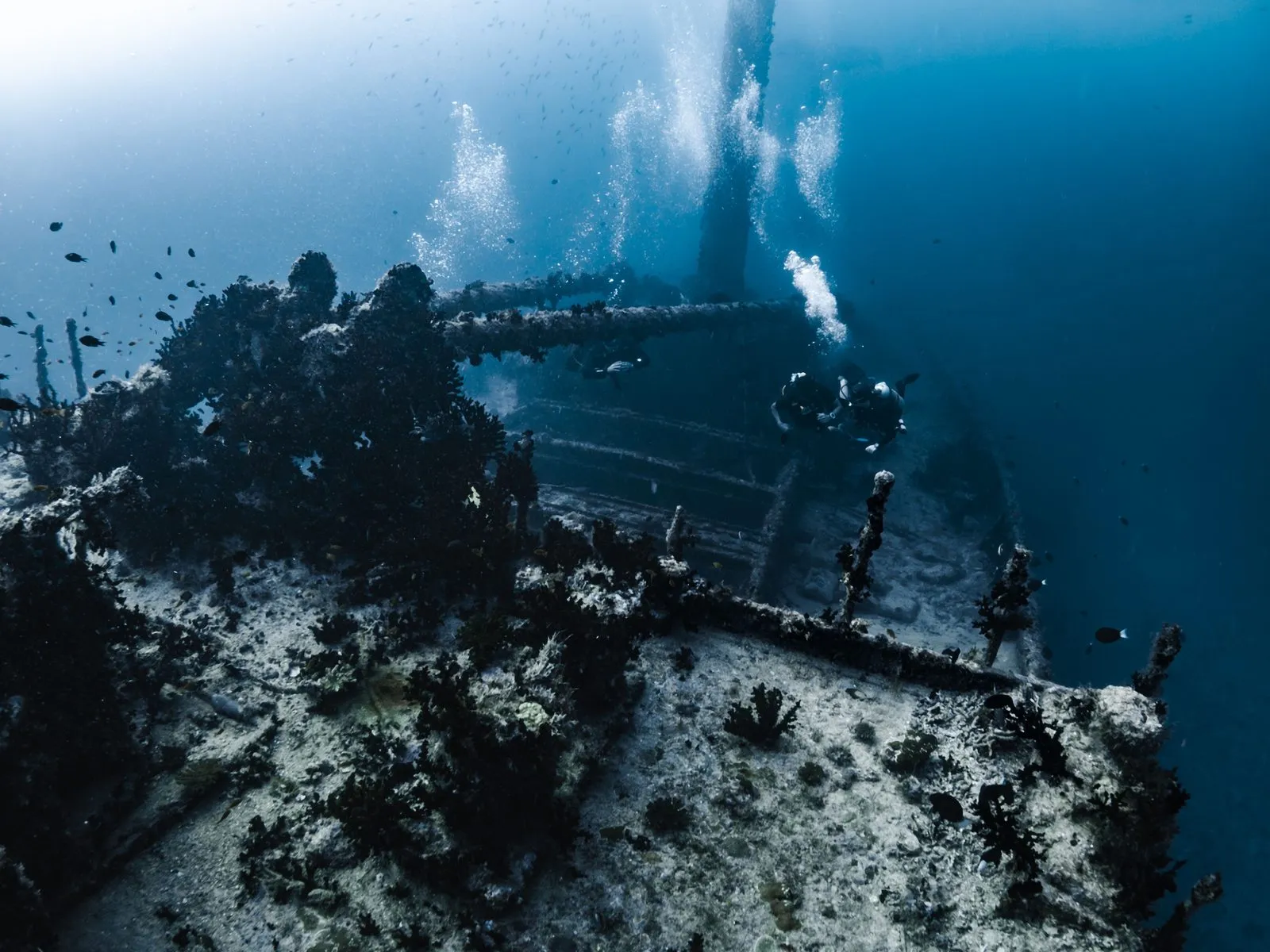 Scuba diving in Maldives