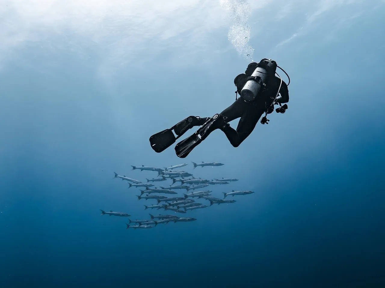 Scuba diving in Red Sea (Egypt)