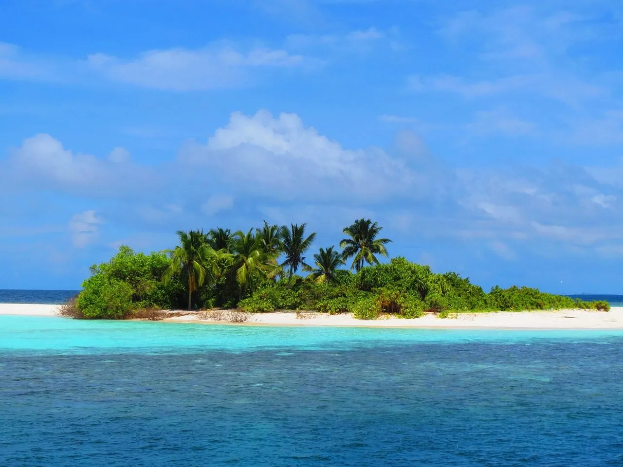 Scuba diving in Maldives