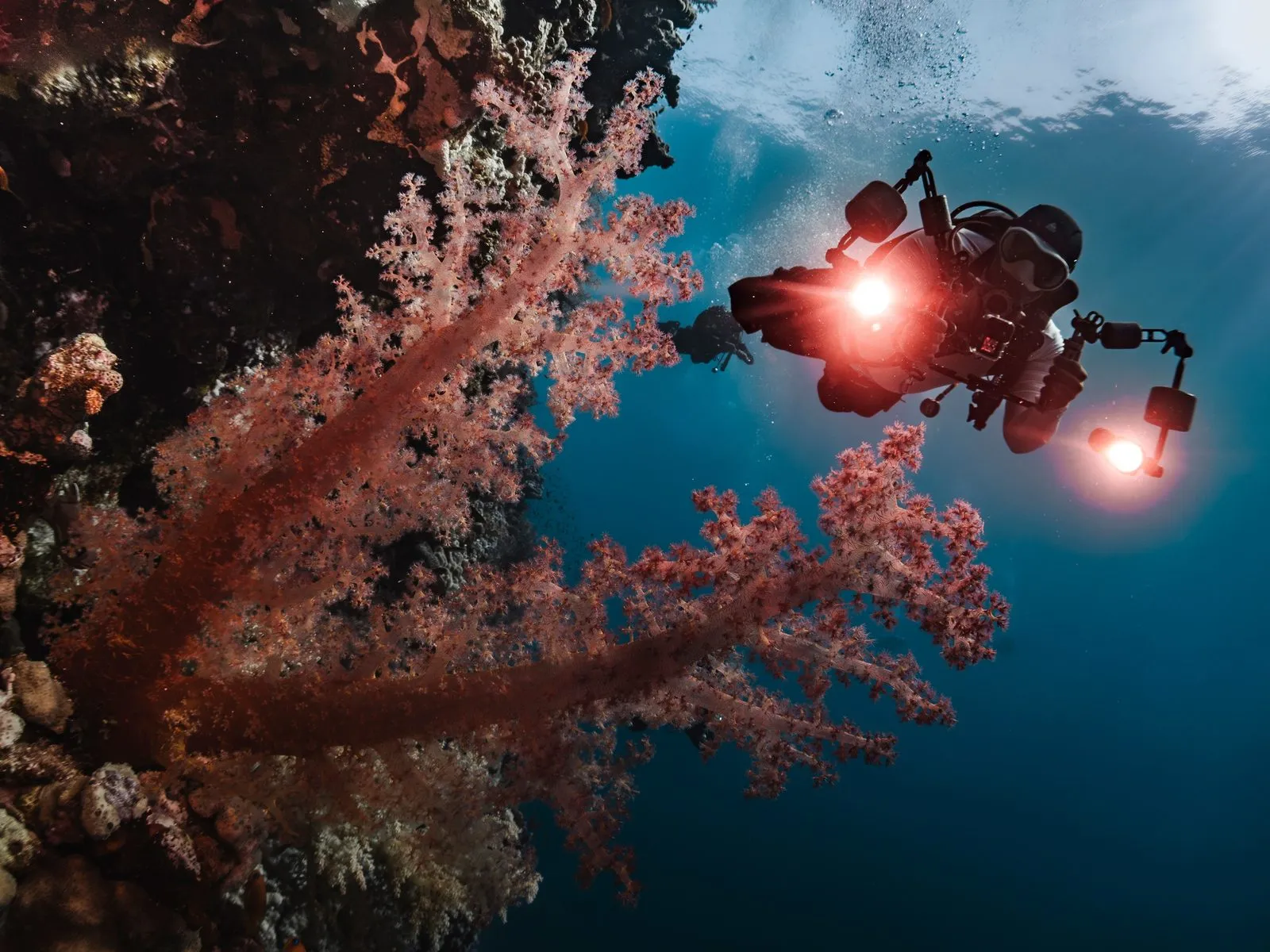 Scuba diving in Red Sea (Egypt)