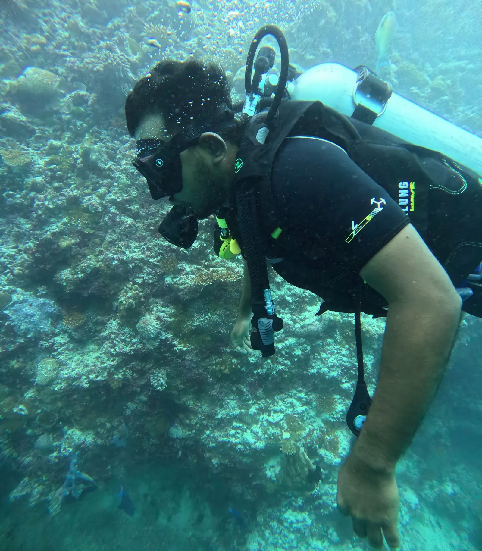 The Dive Squad, photo via Google